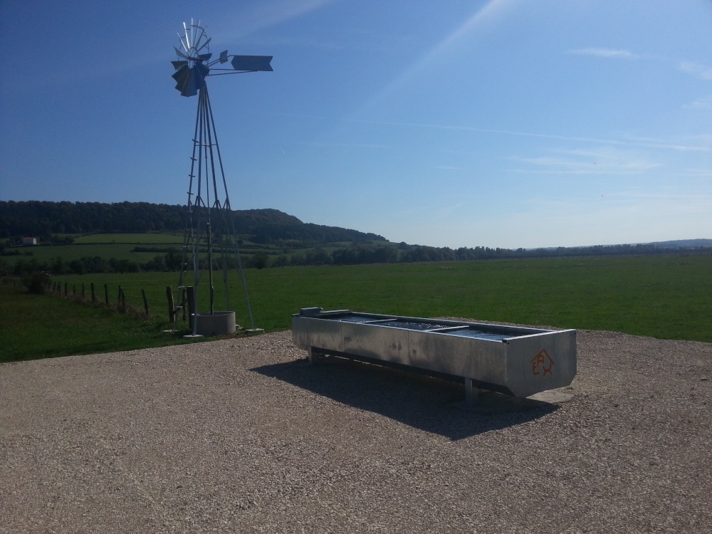 20150927_121232.jpg